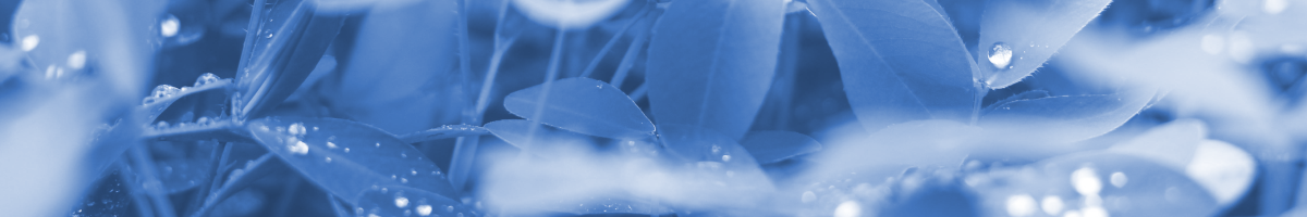 Title image for blog post: Der n-abler Ansatz